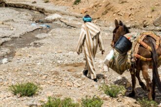 Homme marchant sur une montagne avec un paysage vaste en arrière-plan